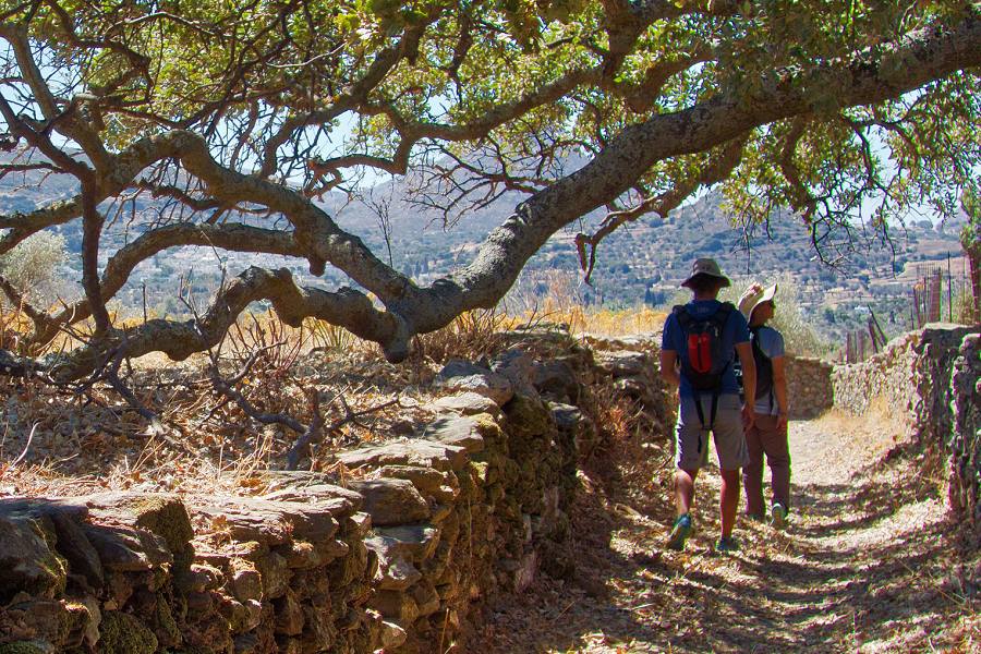 Exploring Hiking Tours in Naxos