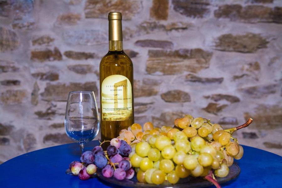 Wine tasting in Naxos